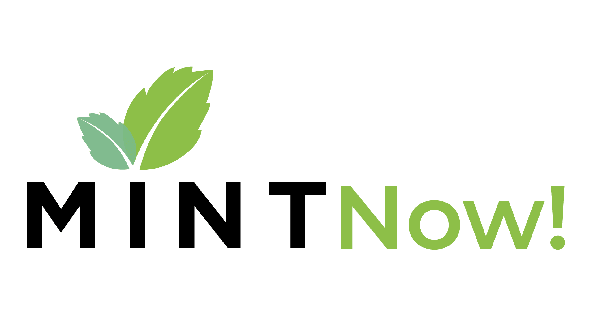 MINTNow Logo