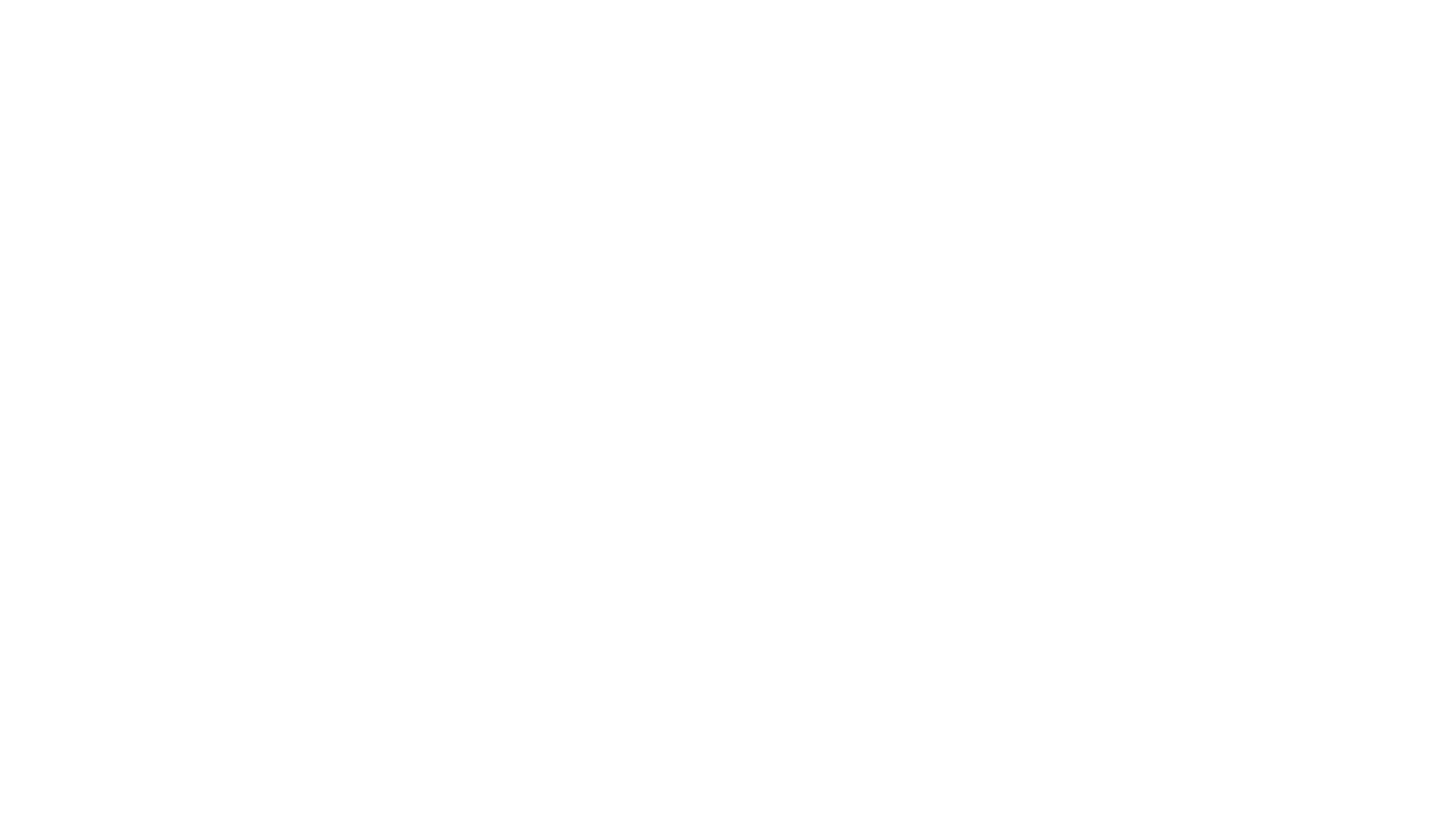MINTNow White Logo